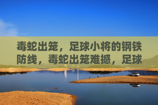 毒蛇出笼，足球小将的钢铁防线，毒蛇出笼难撼，足球小将钢铁防线