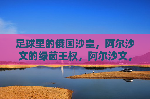 足球里的俄国沙皇，阿尔沙文的绿茵王权，阿尔沙文，绿茵沙皇的王权
