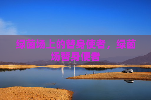 绿茵场上的替身使者,绿茵场替身使者 绿茵场上的替身使者,绿茵场替身使者