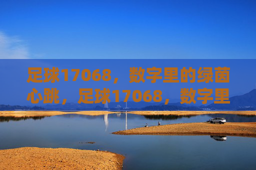 足球17068,数字里的绿茵心跳,足球17068,数字里的绿茵心跳 足球17068,数字里的绿茵心跳,足球17068,数字里的绿茵心跳