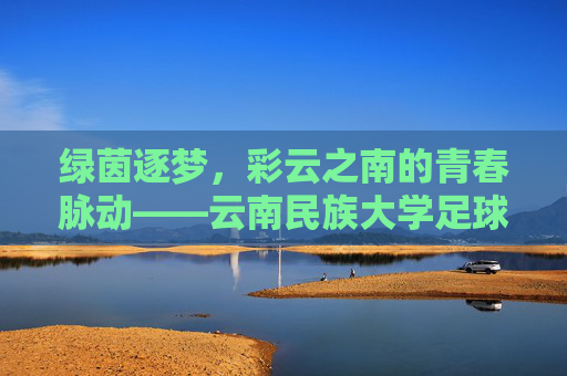 绿茵逐梦,彩云之南的青春脉动——云南民族大学足球故事,彩云逐梦绿茵间,云南民族大学青春足球故事 绿茵逐梦,彩云之南的青春脉动——云南民族大学足球故事,彩云逐梦绿茵间,云南民族大学青春足球故事