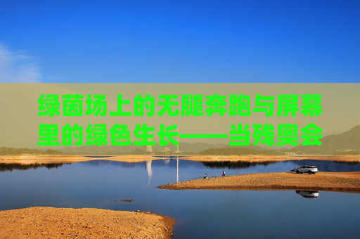 绿茵场上的无腿奔跑与屏幕里的绿色生长——当残奥会足球遇上蚂蚁森林，无腿奔跑与绿色生长，绿茵场与屏幕的生命共振