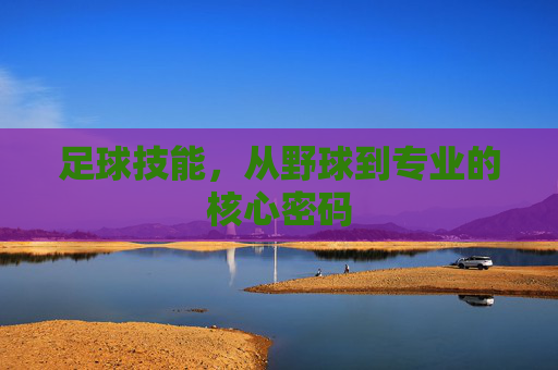 足球技能，从野球到专业的核心密码