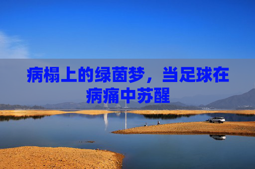 病榻上的绿茵梦,当足球在病痛中苏醒 病榻上的绿茵梦,当足球在病痛中苏醒
