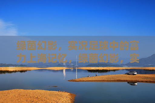 绿茵幻影,实况足球中的富力上海记忆,绿茵幻影,实况足球中的富力上海记忆 绿茵幻影,实况足球中的富力上海记忆,绿茵幻影,实况足球中的富力上海记忆