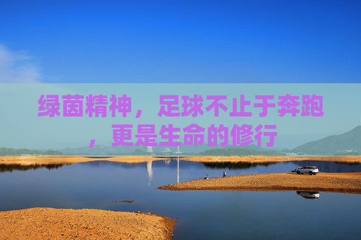 绿茵精神,足球不止于奔跑,更是生命的修行 绿茵精神,足球不止于奔跑,更是生命的修行