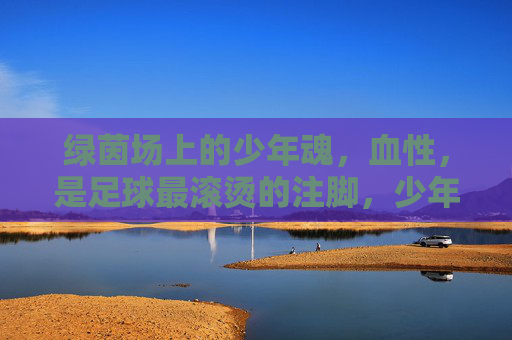 绿茵场上的少年魂，血性，是足球最滚烫的注脚，少年魂与血性，足球滚烫的注脚