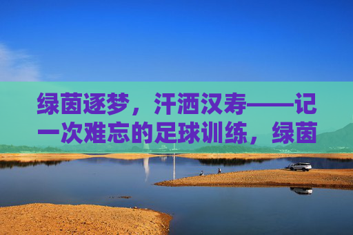 绿茵逐梦,汗洒汉寿——记一次难忘的足球训练,绿茵逐梦汗洒汉寿,难忘足球训练 绿茵逐梦,汗洒汉寿——记一次难忘的足球训练,绿茵逐梦汗洒汉寿,难忘足球训练