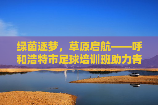 绿茵逐梦,草原启航——呼和浩特市足球培训班助力青少年成长,呼和浩特足球培训班,绿茵逐梦,助力青少年成长 绿茵逐梦,草原启航——呼和浩特市足球培训班助力青少年成长,呼和浩特足球培训班,绿茵逐梦,助力青少年成长