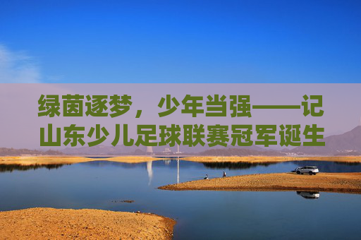 绿茵逐梦,少年当强——记山东少儿足球联赛冠军诞生记,绿茵逐梦少年强——山东少儿足球联赛冠军诞生 绿茵逐梦,少年当强——记山东少儿足球联赛冠军诞生记,绿茵逐梦少年强——山东少儿足球联赛冠军诞生
