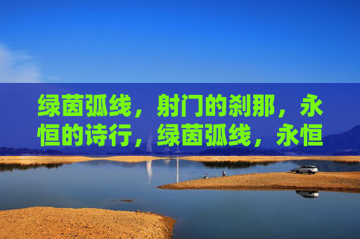 绿茵弧线，射门的刹那，永恒的诗行，绿茵弧线，永恒的射门诗行