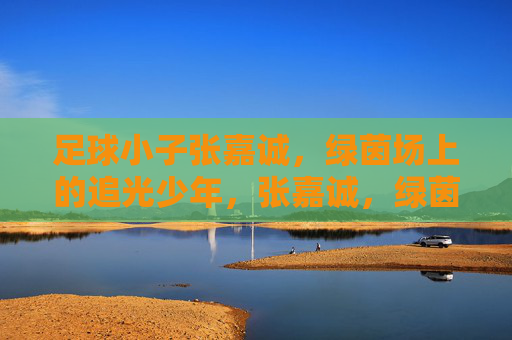 足球小子张嘉诚,绿茵场上的追光少年,张嘉诚,绿茵场上的追光少年 足球小子张嘉诚,绿茵场上的追光少年,张嘉诚,绿茵场上的追光少年