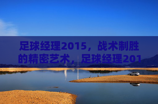 足球经理2015,战术制胜的精密艺术,足球经理2015,战术制胜的精密艺术 足球经理2015,战术制胜的精密艺术,足球经理2015,战术制胜的精密艺术