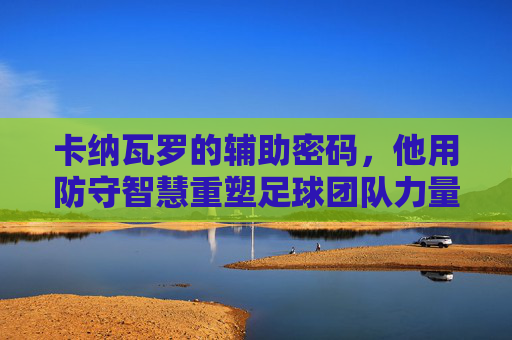 卡纳瓦罗的辅助密码，他用防守智慧重塑足球团队力量，卡纳瓦罗的防守智慧，重塑足球团队力量的密码