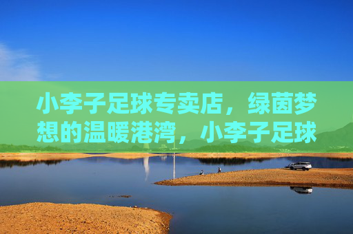 小李子足球专卖店，绿茵梦想的温暖港湾，小李子足球专卖店，绿茵梦想的温暖港湾