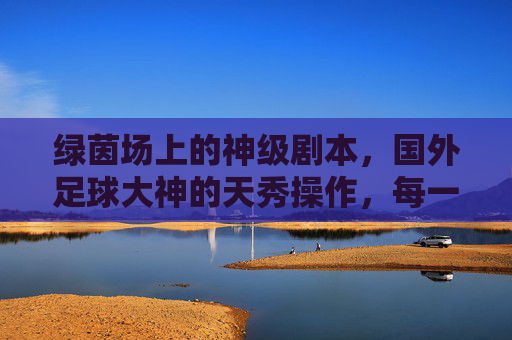 绿茵场上的神级剧本,国外足球大神的天秀操作,每一帧都是封级瞬间,绿茵场大神天秀,帧帧封级瞬间 绿茵场上的神级剧本,国外足球大神的天秀操作,每一帧都是封级瞬间,绿茵场大神天秀,帧帧封级瞬间