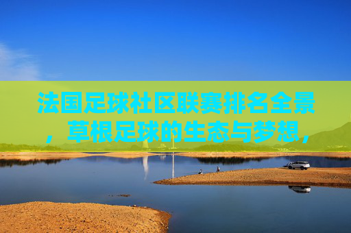 法国足球社区联赛排名全景，草根足球的生态与梦想，法国社区足球联赛全景，草根生态与梦想