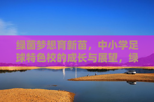 绿茵梦想育新苗，中小学足球特色校的成长与展望，绿茵梦想育新苗，中小学足球特色校的成长与展望