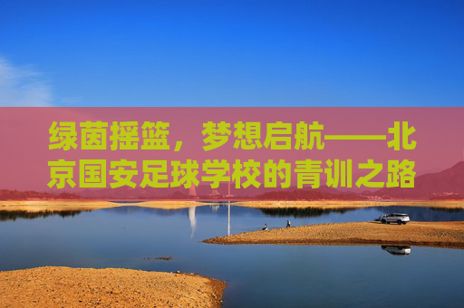 绿茵摇篮，梦想启航——北京国安足球学校的青训之路，北京国安足球学校青训，绿茵摇篮，梦想启航
