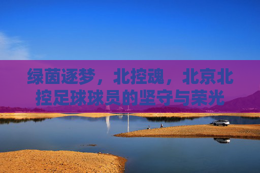 绿茵逐梦,北控魂,北京北控足球球员的坚守与荣光 绿茵逐梦,北控魂,北京北控足球球员的坚守与荣光