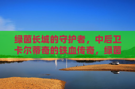 绿茵长城的守护者,中后卫卡尔蒂奇的铁血传奇,绿茵长城守护者,卡尔蒂奇铁血传奇 绿茵长城的守护者,中后卫卡尔蒂奇的铁血传奇,绿茵长城守护者,卡尔蒂奇铁血传奇