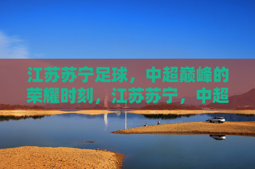 江苏苏宁足球，中超巅峰的荣耀时刻，江苏苏宁，中超巅峰荣耀
