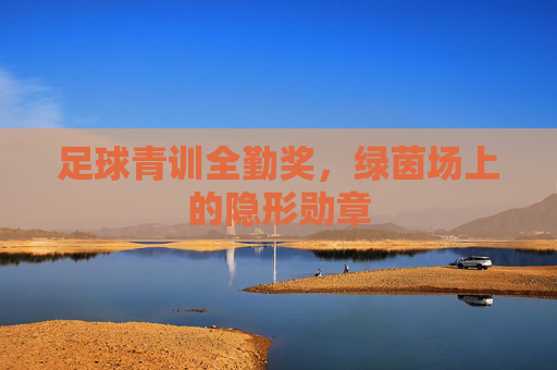 足球青训全勤奖,绿茵场上的隐形勋章 足球青训全勤奖,绿茵场上的隐形勋章