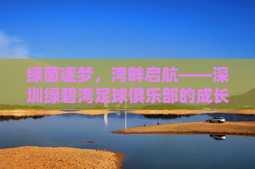 绿茵逐梦，湾畔启航——深圳绿碧湾足球俱乐部的成长与展望，绿茵逐梦，湾畔启航——深圳绿碧湾足球俱乐部的成长与展望