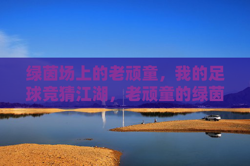 绿茵场上的老顽童，我的足球竞猜江湖，老顽童的绿茵竞猜江湖