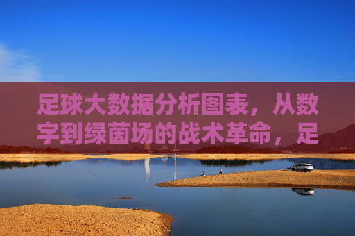 足球大数据分析图表，从数字到绿茵场的战术革命，足球大数据分析图表，从数字到绿茵场的战术革命