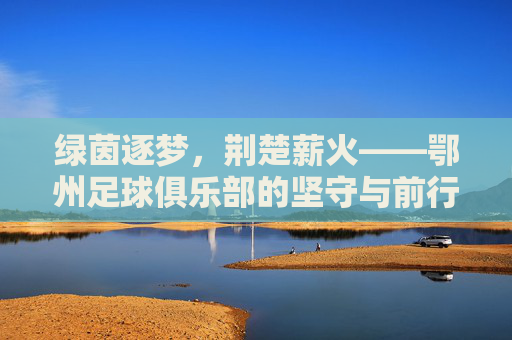 绿茵逐梦,荆楚薪火——鄂州足球俱乐部的坚守与前行 绿茵逐梦,荆楚薪火——鄂州足球俱乐部的坚守与前行
