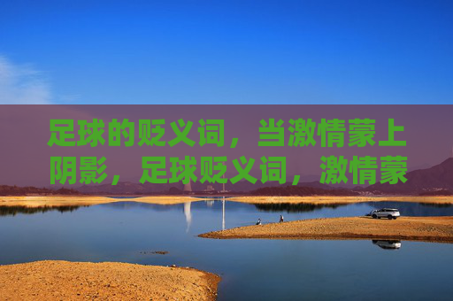足球的贬义词,当激情蒙上阴影,足球贬义词,激情蒙上阴影 足球的贬义词,当激情蒙上阴影,足球贬义词,激情蒙上阴影