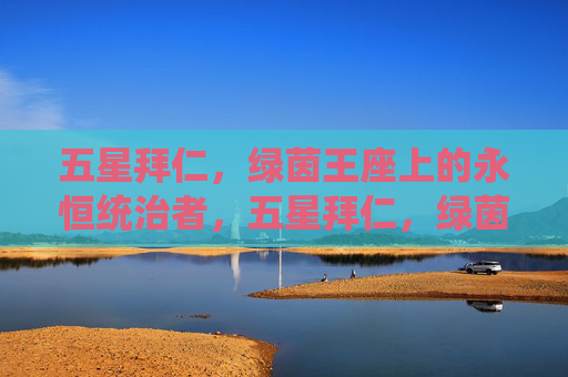 五星拜仁,绿茵王座上的永恒统治者,五星拜仁,绿茵王座的永恒统治者 五星拜仁,绿茵王座上的永恒统治者,五星拜仁,绿茵王座的永恒统治者