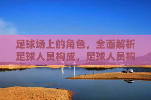 足球场上的角色，全面解析足球人员构成，足球人员构成，场上的角色全解析