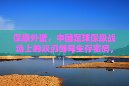 保级外援，中国足球保级战场上的双刃剑与生存密码，保级外援，中国足球保级战场的双刃剑与生存密码