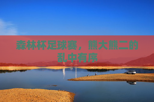 森林杯足球赛,熊大熊二的乱中有序 森林杯足球赛,熊大熊二的乱中有序