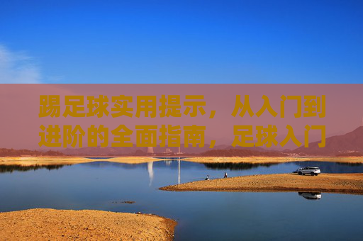 踢足球实用提示，从入门到进阶的全面指南，足球入门到进阶实用指南