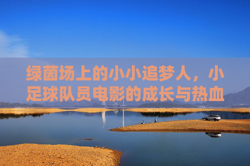 绿茵场上的小小追梦人,小足球队员电影的成长与热血,绿茵追梦,小球员的热血成长 绿茵场上的小小追梦人,小足球队员电影的成长与热血,绿茵追梦,小球员的热血成长