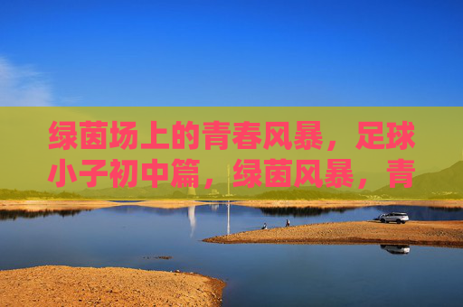 绿茵场上的青春风暴,足球小子初中篇,绿茵风暴,青春足球初中篇 绿茵场上的青春风暴,足球小子初中篇,绿茵风暴,青春足球初中篇