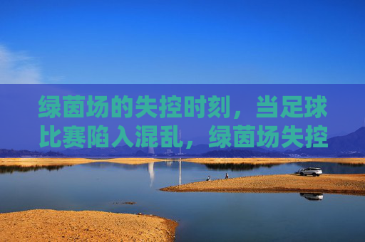 绿茵场的失控时刻,当足球比赛陷入混乱,绿茵场失控,足球比赛陷入混乱 绿茵场的失控时刻,当足球比赛陷入混乱,绿茵场失控,足球比赛陷入混乱