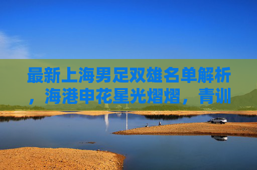 最新上海男足双雄名单解析，海港申花星光熠熠，青训力量蓄势待发，上海男足双雄名单解析，星光熠熠，青训蓄势待发
