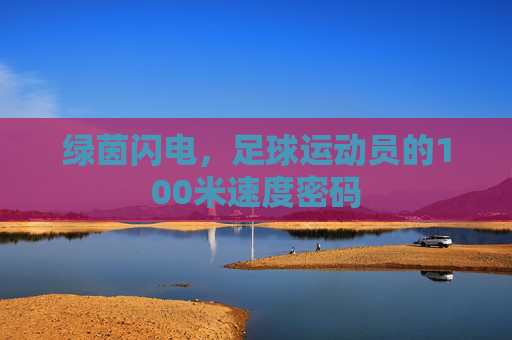 绿茵闪电,足球运动员的100米速度密码 绿茵闪电,足球运动员的100米速度密码