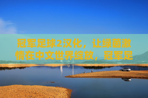冠军足球2汉化,让绿茵激情在中文世界绽放,冠军足球2汉化,绿茵激情中文绽放 冠军足球2汉化,让绿茵激情在中文世界绽放,冠军足球2汉化,绿茵激情中文绽放