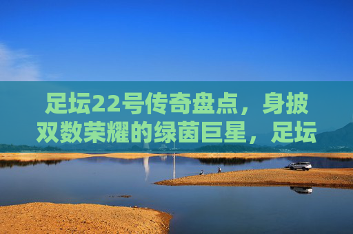 足坛22号传奇盘点，身披双数荣耀的绿茵巨星，足坛22号传奇，双数荣耀铸就的绿茵巨星