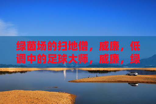 绿茵场的扫地僧,威廉,低调中的足球大师,威廉,绿茵场的低调扫地僧 绿茵场的扫地僧,威廉,低调中的足球大师,威廉,绿茵场的低调扫地僧