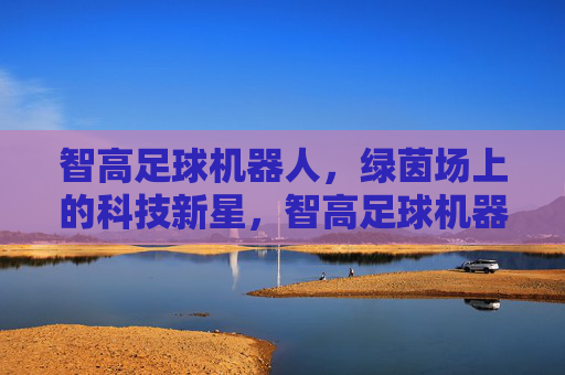 智高足球机器人,绿茵场上的科技新星,智高足球机器人,绿茵场科技新星 智高足球机器人,绿茵场上的科技新星,智高足球机器人,绿茵场科技新星