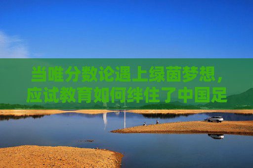 当唯分数论遇上绿茵梦想,应试教育如何绊住了中国足球的脚步?唯分数论绊住绿茵梦,应试教育如何困住中国足球? 当唯分数论遇上绿茵梦想,应试教育如何绊住了中国足球的脚步?唯分数论绊住绿茵梦,应试教育如何困住中国足球?