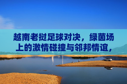 越南老挝足球对决，绿茵场上的激情碰撞与邻邦情谊，越南老挝足球对决，绿茵场激情碰撞与邻邦情谊