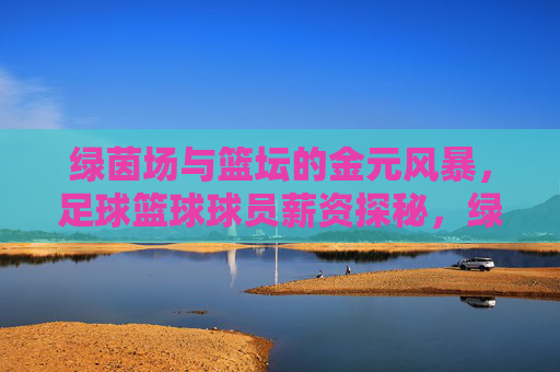 绿茵场与篮坛的金元风暴，足球篮球球员薪资探秘，绿茵篮坛金元风暴，球员薪资探秘