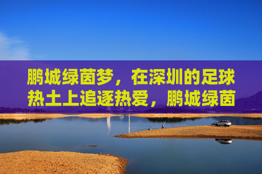 鹏城绿茵梦,在深圳的足球热土上追逐热爱,鹏城绿茵梦,足球热土追逐热爱 鹏城绿茵梦,在深圳的足球热土上追逐热爱,鹏城绿茵梦,足球热土追逐热爱